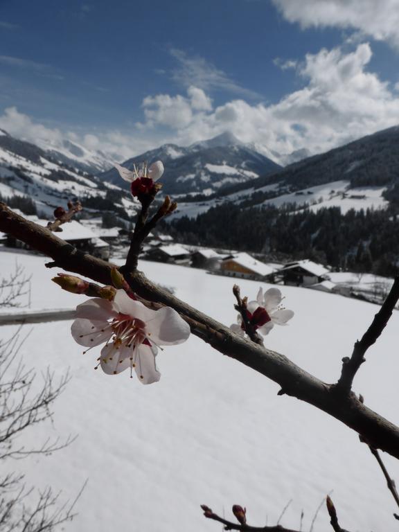 Apartamento Heachhof Alpbach Exterior foto