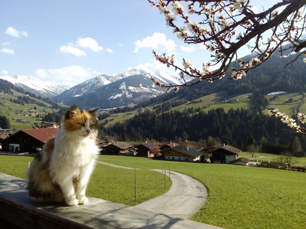 Apartamento Heachhof Alpbach Exterior foto